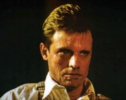 Photo 2: Garnet Montrose